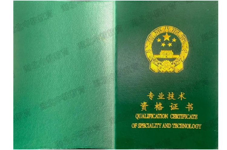 职称照片